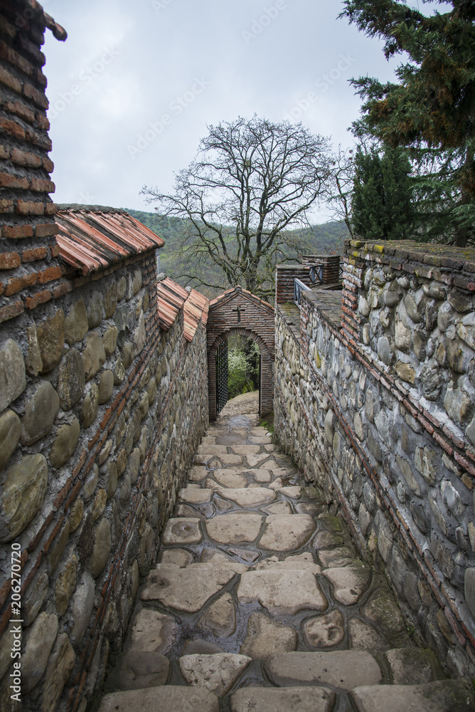 Bodbe Monastery, Georgia