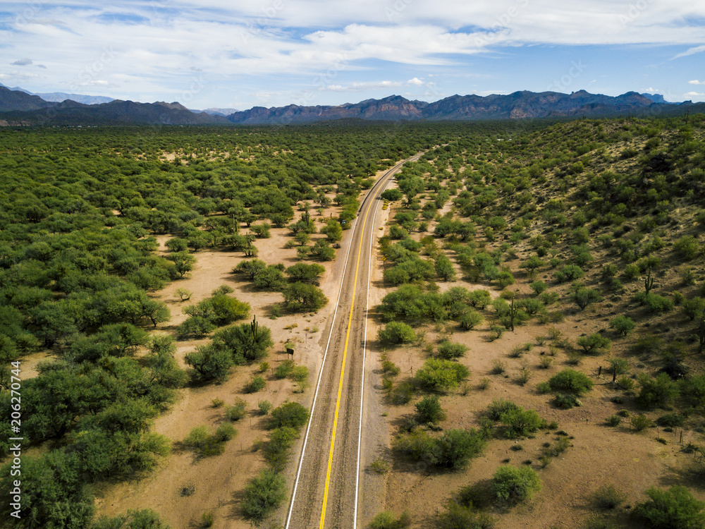 Desert road with bushes and cactuses aerial