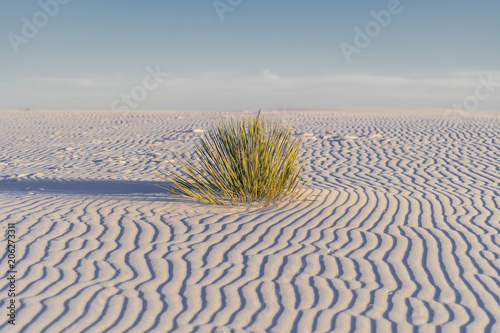 sunset at white sands desert