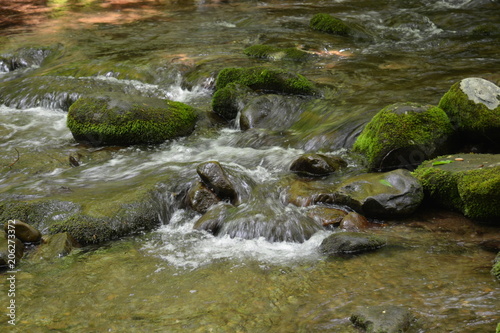 Clear waters quiet creek