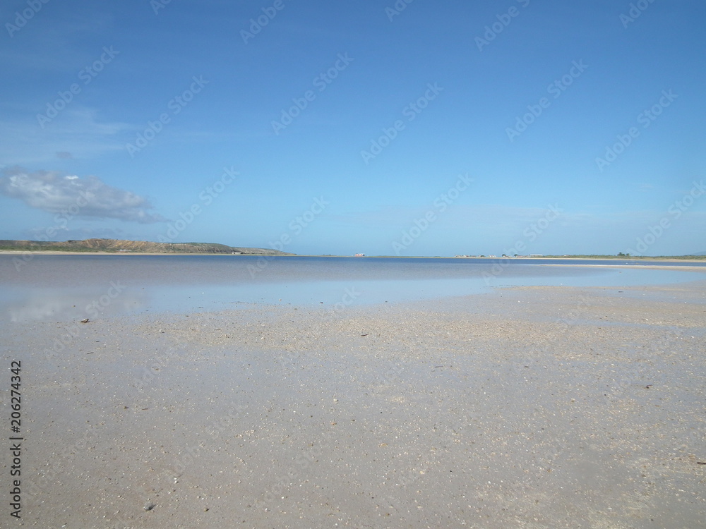 Beach Landscape