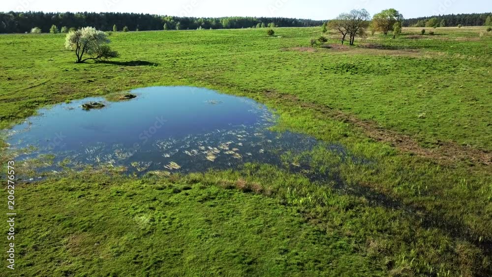 One cow grazes on a meadow near the pond a beautiful sky above it. One cow grazes on a meadow near the pond a beautiful sky above it.