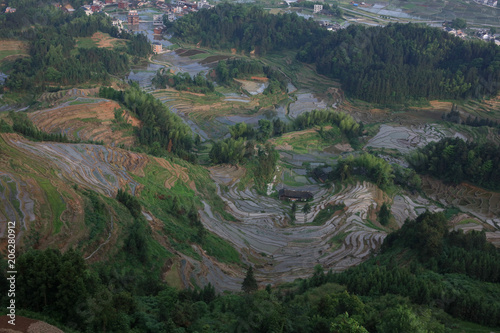 The landscape of the purple magpie terraces.