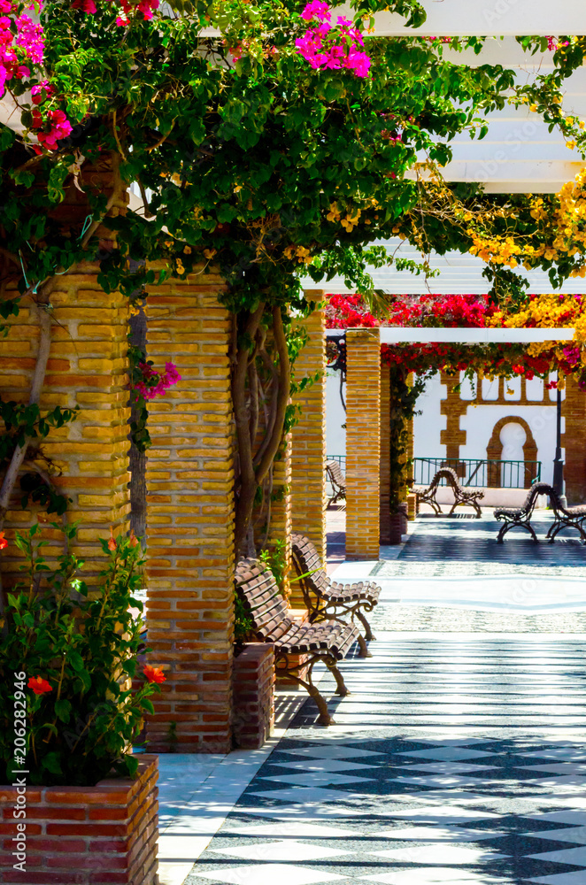 Fototapeta premium closeup on a beautiful arbor covered with climbing plants with colorful flowers, relax place
