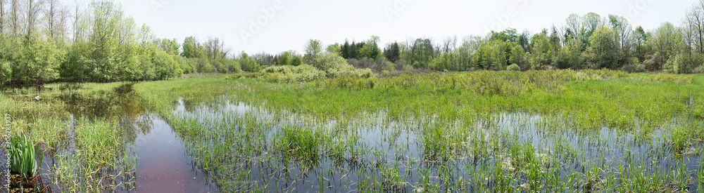 Spring flood meadows Spring flood meadows