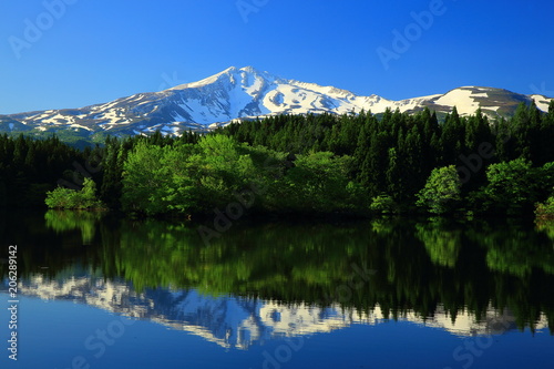 新緑の鳥海山