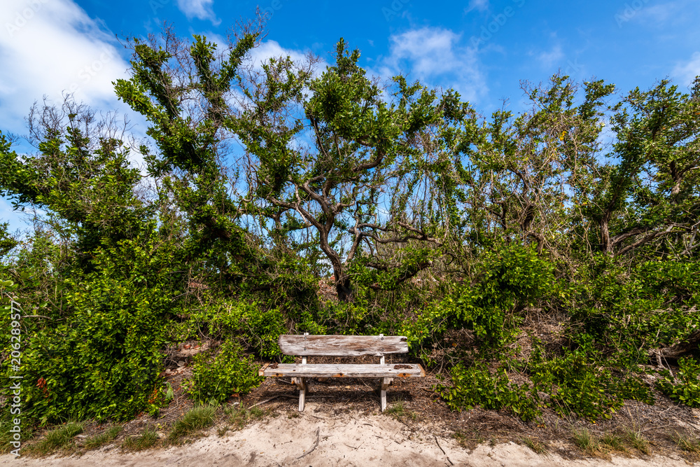 Fototapeta premium Lone Bench of Dry Tortugas