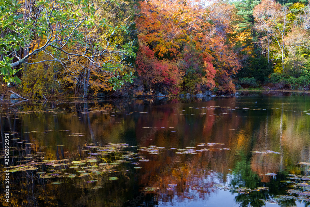 Fall Colors Reflected into a Pond Fall Colors Reflected into a Pond