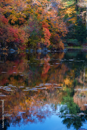 Fototapeta Naklejka Na Ścianę i Meble -  Colorful Fall Reflections