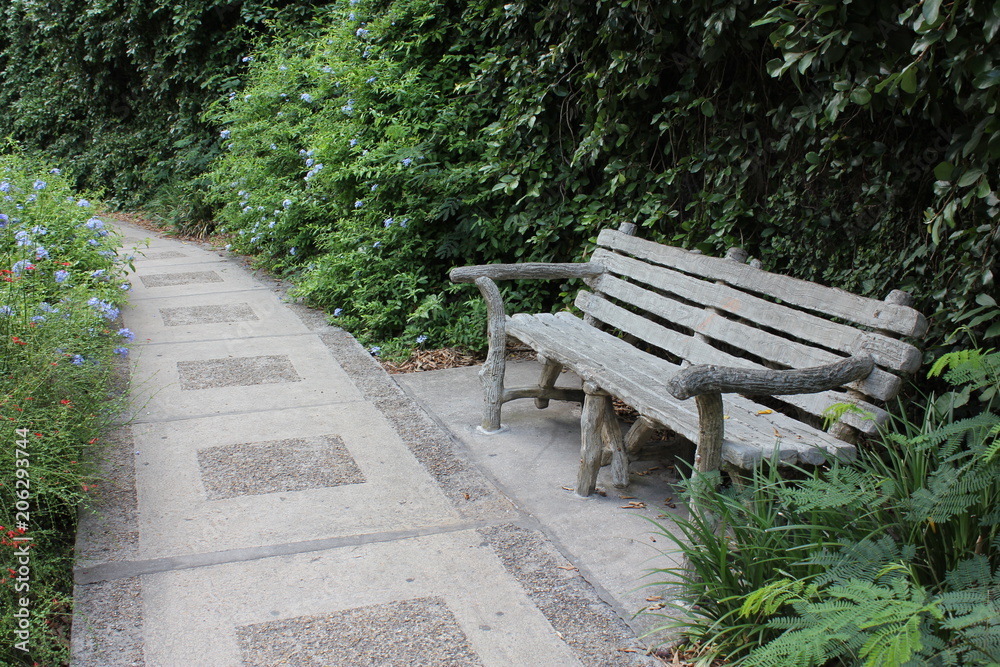 Beautiful wood bench along sidewalk surrounded by vibrant green trees and plants Beautiful wood bench along sidewalk surrounded by vibrant green trees and plants