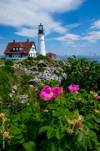 Portland Head Lighthouse and Beach Roses