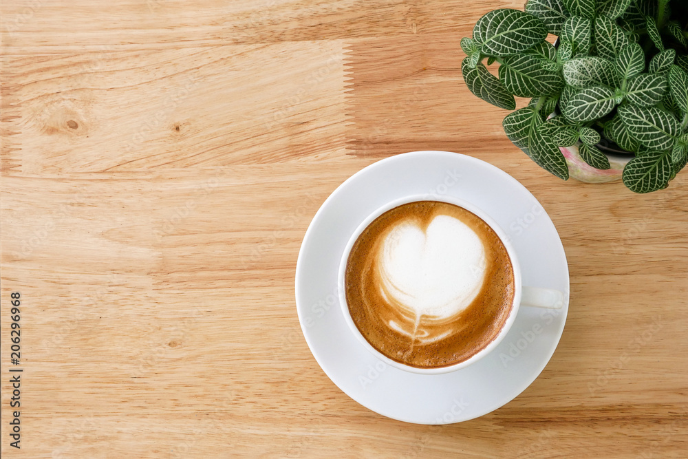 Top view of hot coffee latte with heart shaped milk foam on light wood table background with tabletop small pot of Fittonia nerve plant the tropical houseplant, flat lay style with copy space. Top view of hot coffee latte with heart shaped milk foam on light wood table background with tabletop small pot of Fittonia nerve plant the tropical houseplant, flat lay style with copy space.