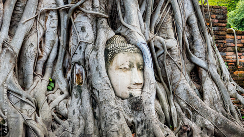Ayutthaya Buddha Head statue with trapped in Bodhi Tree roots at Wat Maha That (Ayutthaya). Ayutthaya historical park Thailand.