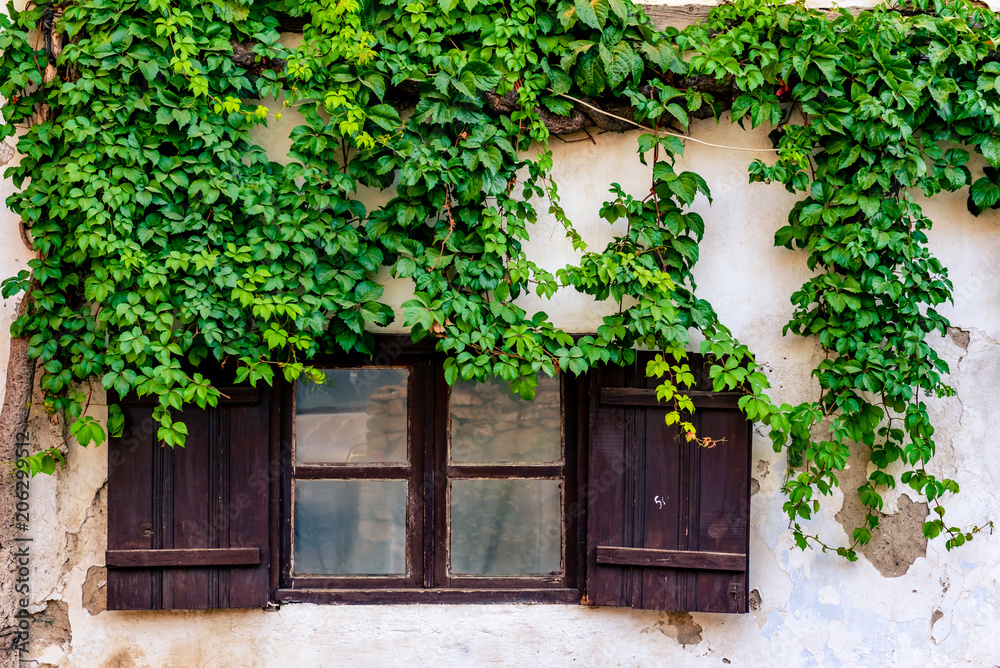 View of Sirince,a popular destination in Selcuk,Izmir,Turkey