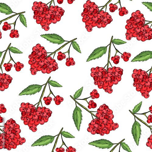 Cowberry. Useful yagoda. Jam. Delicious. For your design. Print, sticker. seamless pattern.