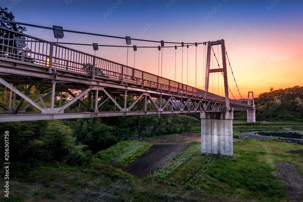 Romantic Bridge over Rice Fields
