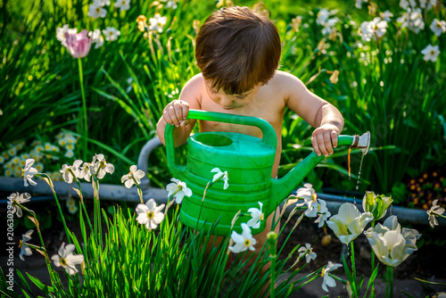 girl watering flowers. Little girl with a watering can in the garden. sweet girl helps gardening 