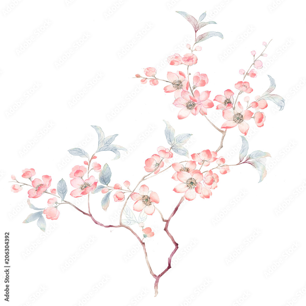 Watercolor branches and flowers