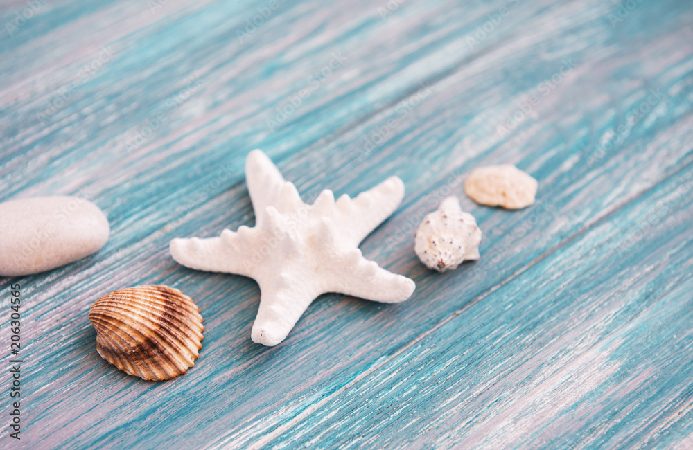 sea shells on a wooden table sea shells on a wooden table