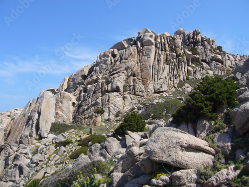 Granite rocks with mediterranean vegetation, Capo Testa, Santa Teresa Gallura, Italy