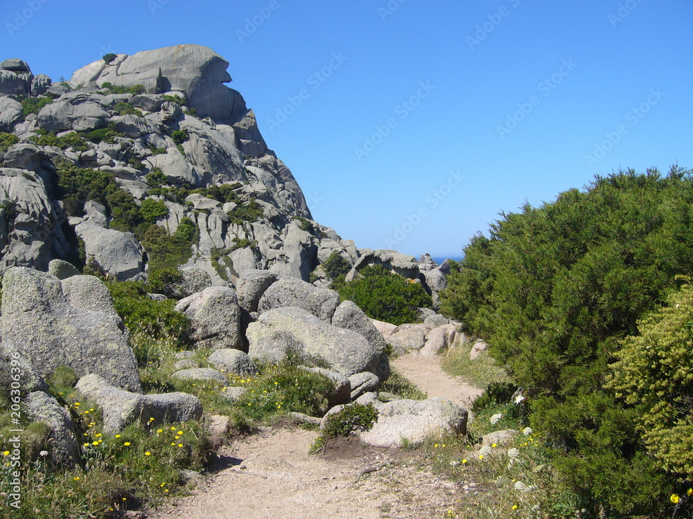 Granite rocks with mediterranean vegetation, Moon's Valley, Capo Testa, Santa Teresa Gallura, Italy