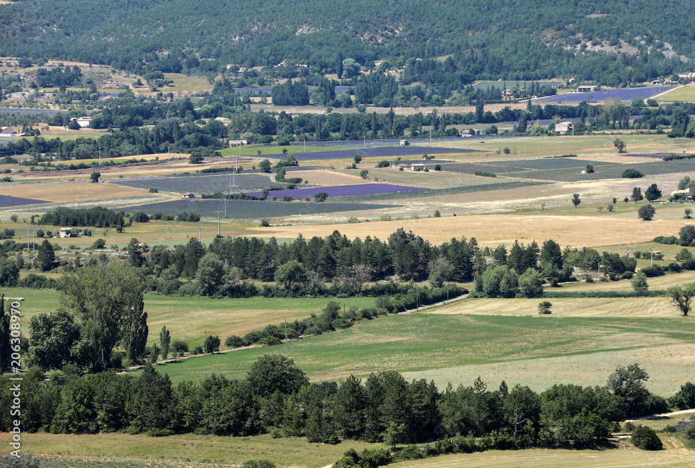 Patchwork of Farmer's fields in valley below Sault, Provence France