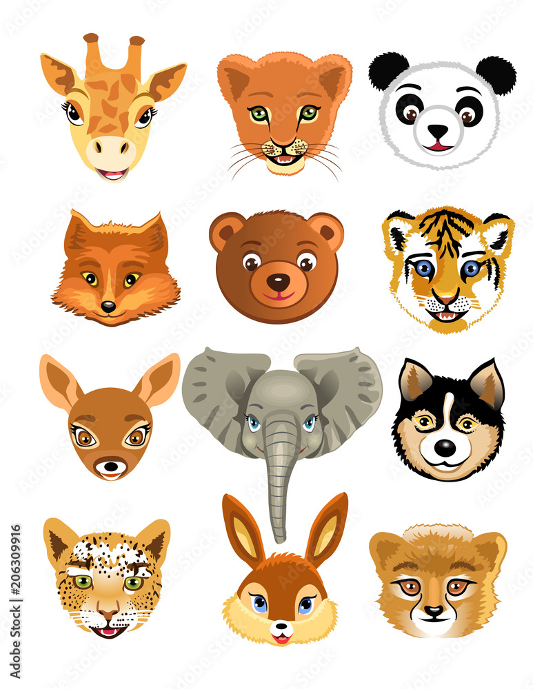 vector wild animals heads isolated on a white background vector wild animals heads isolated on a white background
