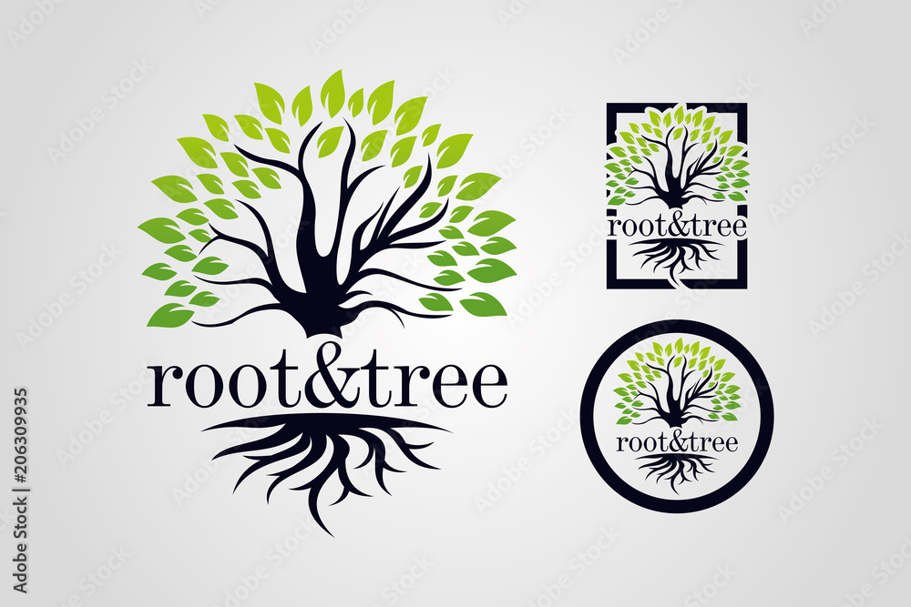 Fototapeta premium Zestaw szablonów logo Root & Tree