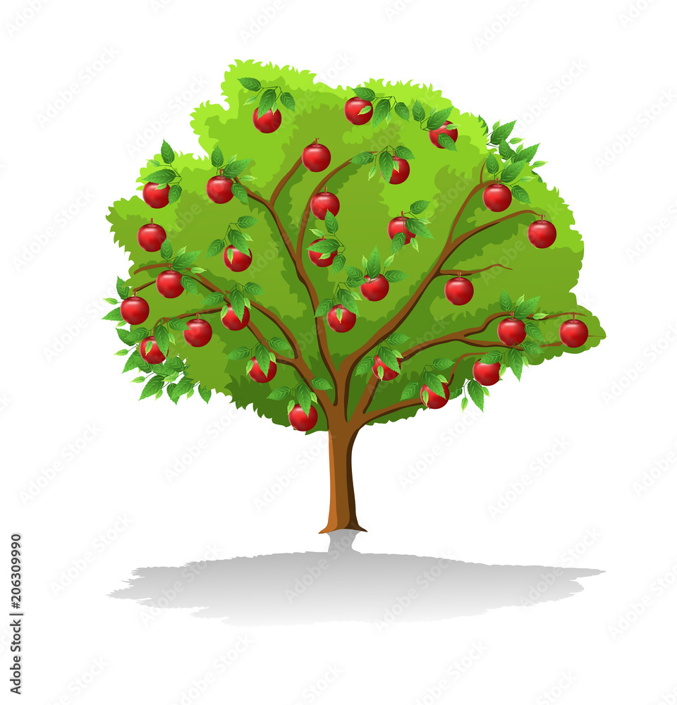 cartoon apple tree isolated on a white background