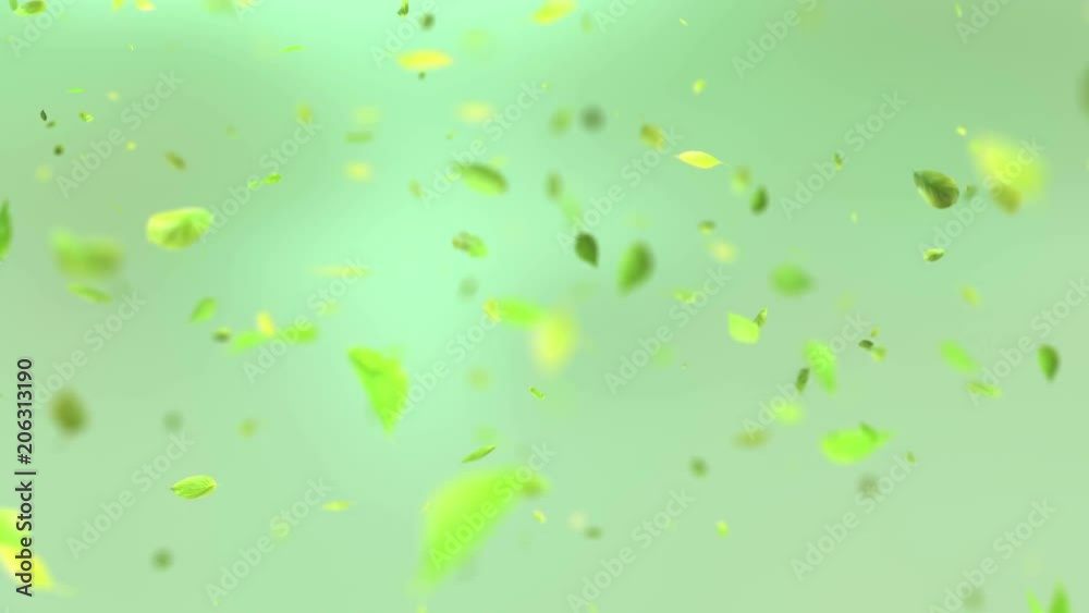 Exploding green leafs in 4K Exploding green leafs in 4K