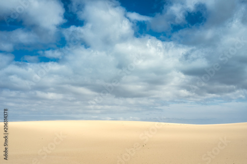 Fototapeta Naklejka Na Ścianę i Meble -  pustynia
