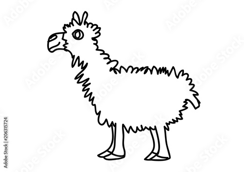 alpaka