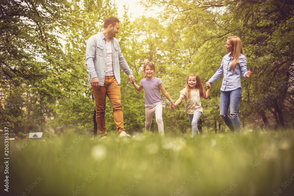 Fototapeta premium Walk trough park.