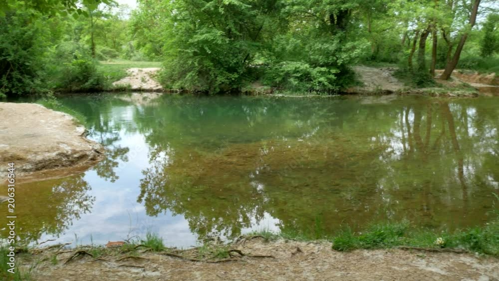 River deep in forest. Poplar down. Beautiful nature composition. River deep in forest. Poplar down. Beautiful nature composition.