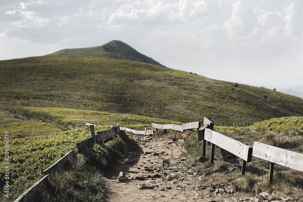 Fototapeta premium Hiking to Polonina Carynska Bieszczady Mountains Poland, a view from the top