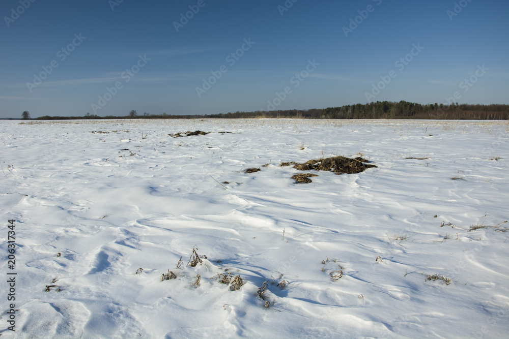 Snow drifts on the field Snow drifts on the field