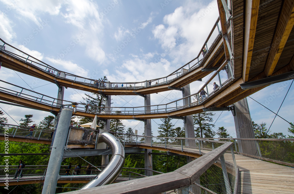 Fototapeta premium Baumwipfelpfad Aussichtsturm Bad Wildbad Schwarzwald Deutschland