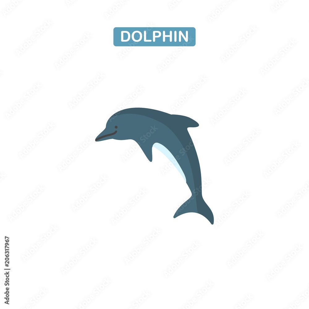 Dolphin Vector icon
