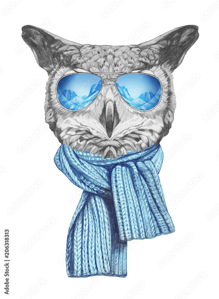 Fototapeta premium Portrait of Owl with sunglasses and scarf, hand-drawn illustration
