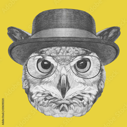 Portrait of Owl with hat,  hand-drawn illustration photo