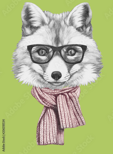 Portrait of Fox with scarf and glasses, hand-drawn illustration