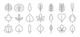 Leaf line icon. Foliage thin simple outline. Contour vector collection