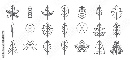 Leaf line icon. Foliage thin simple outline. Contour vector collection