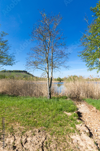 quarry lake  in Remerschen photo