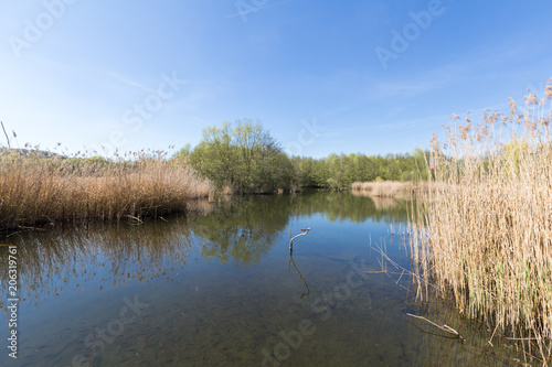 quarry lake  in Remerschen photo