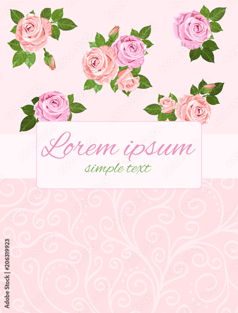 Beige and pink roses on the pink background greeting card