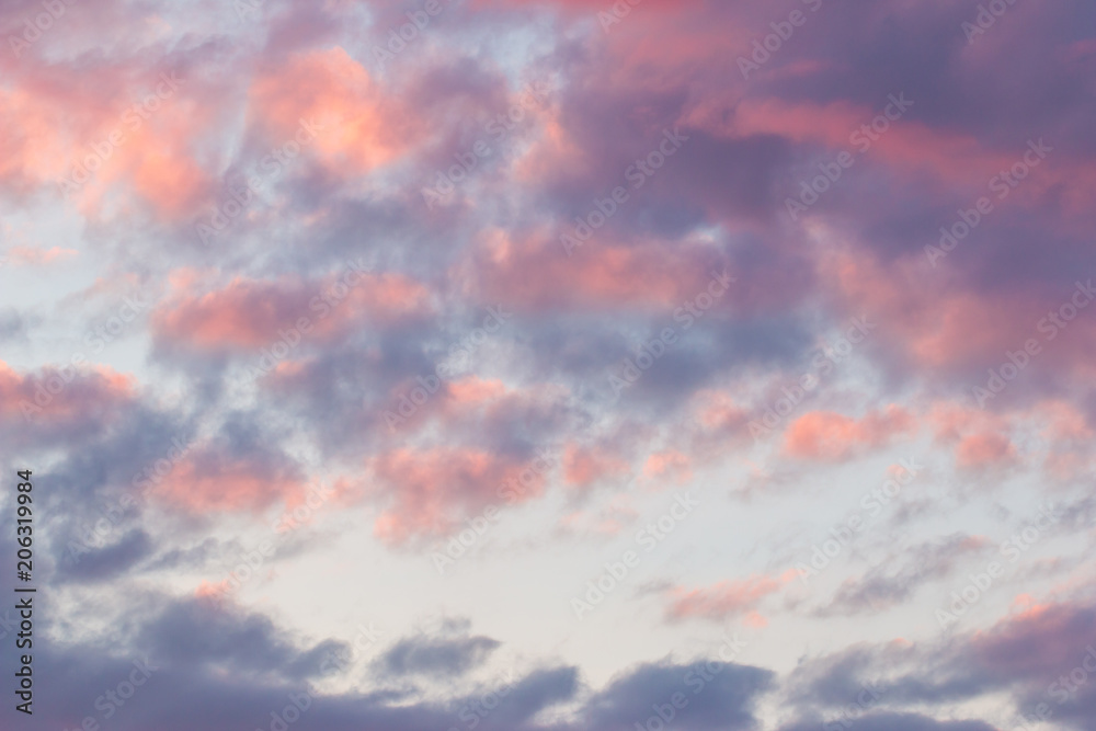 Fototapeta premium the sky at sunset