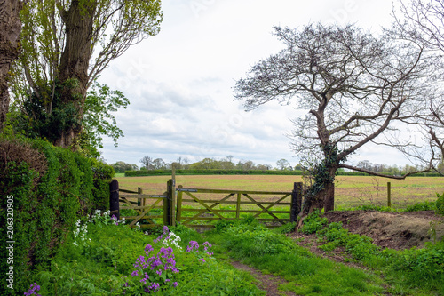 Countryside view in Cheshire England UK