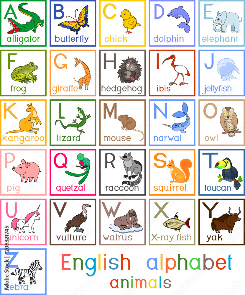 Colorful english alphabet with pictures of different cartoon animals and titles for children education
