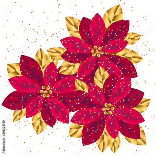 Xmas luxury gold poinsettia...